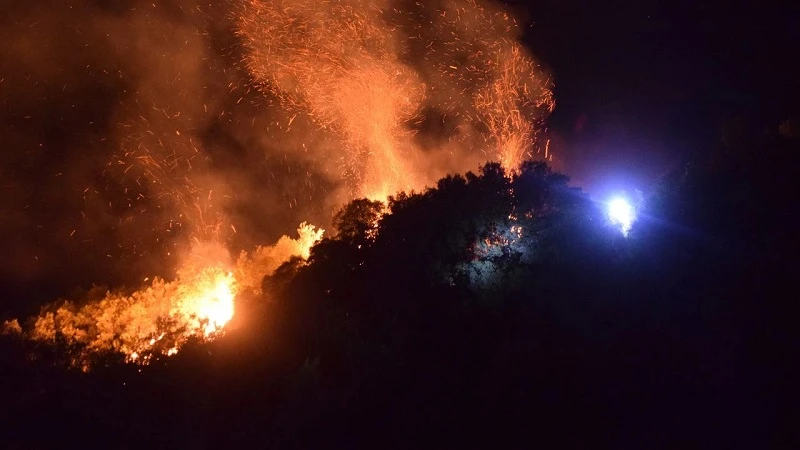 Tarım arazisinde başladı ormana sıçradı! Manisa Turgutlu felaketin eşiğinden döndü!