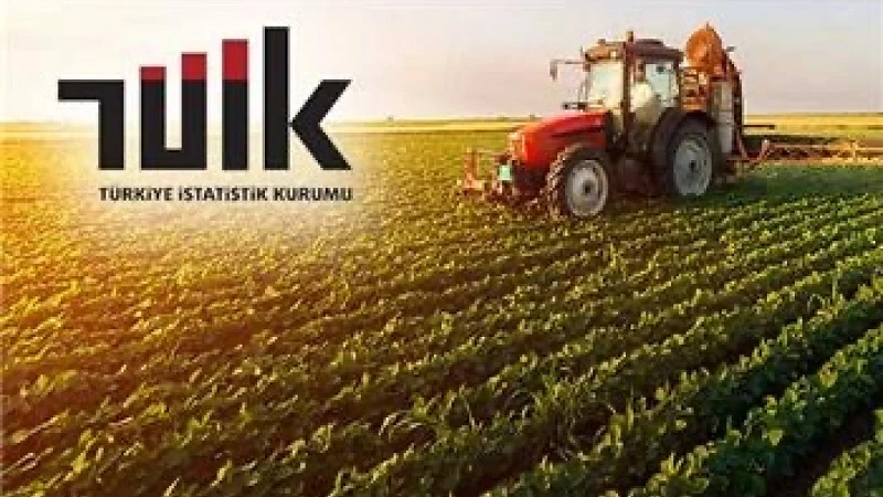Tarım-GFE yıllık yüzde 31,83 arttı