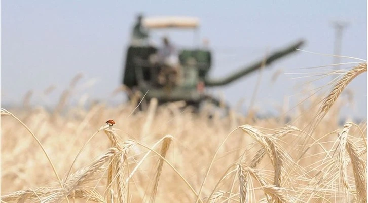 Tarım kredi çiftçilerden 10,5 milyar liralık ürün aldı