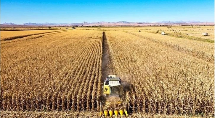 Tarım sektörü 2022 yılını rekor ihracatla tamamladı