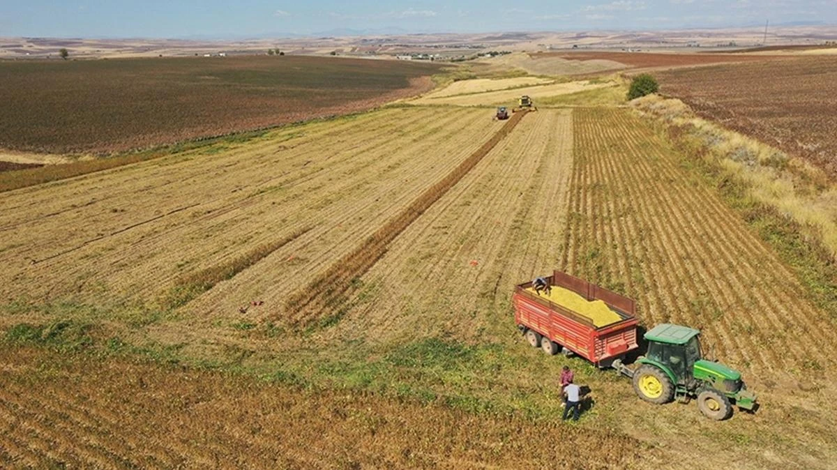 Tarım sektöründen ihracatta ilk çeyrek rekoru