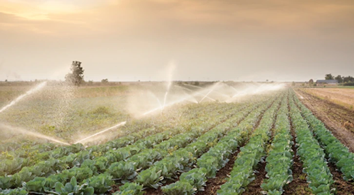Tarım-ÜFE 20 ayın zirvesinde
