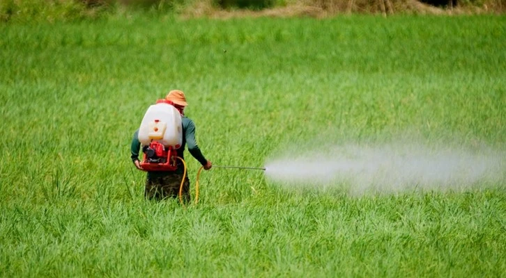 16 pestisit (tarım zehiri) etken maddesi yasaklandı