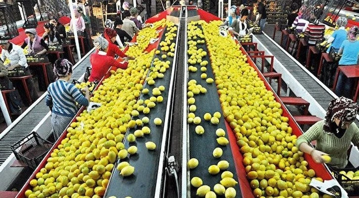 ‘Tarımda 7.2 milyar dolar dış ticaret fazlamız var’