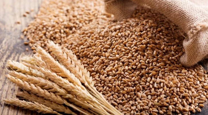 "Tarımda fiyatlar 2 yıl daha yüksek kalır"