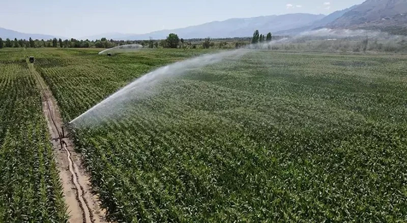 Tarımda su tasarrufu verimli sulamayla artacak