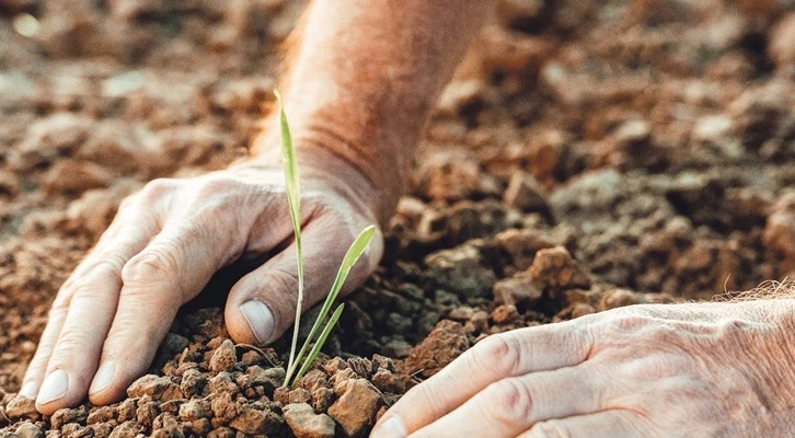 Tarımda Türkiye Yüzyılı Çalıştayı Antalya'da başladı