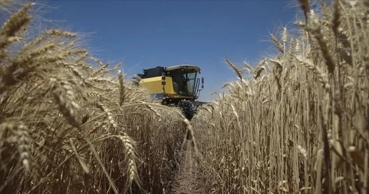 Tarımsal üretim 75 milyar dolara yükseldi