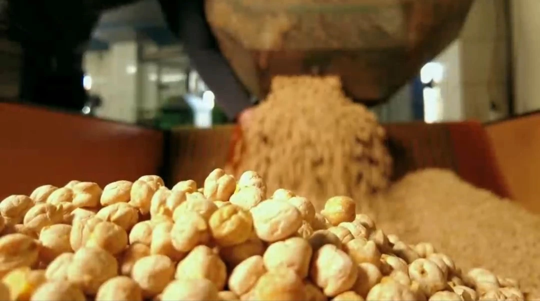 Tavşanlı leblebisinin hikayesi belgesel yapıldı