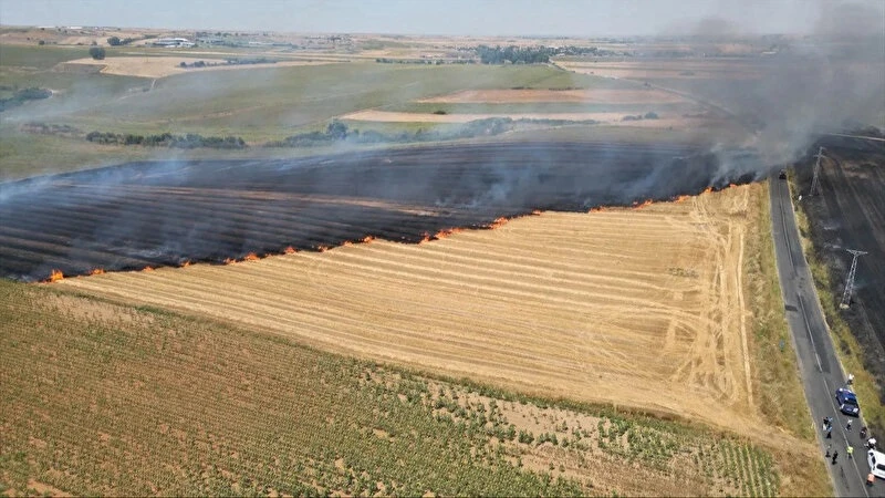 Tekirdağ'da tarım alanında çıkan yangın büyümeden söndürüldü