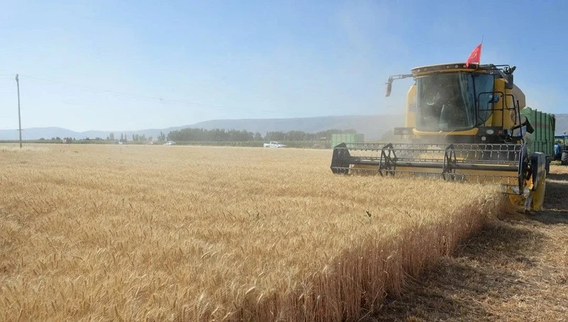 Temmuz yağışı çiftçinin yüzünü güldürdü