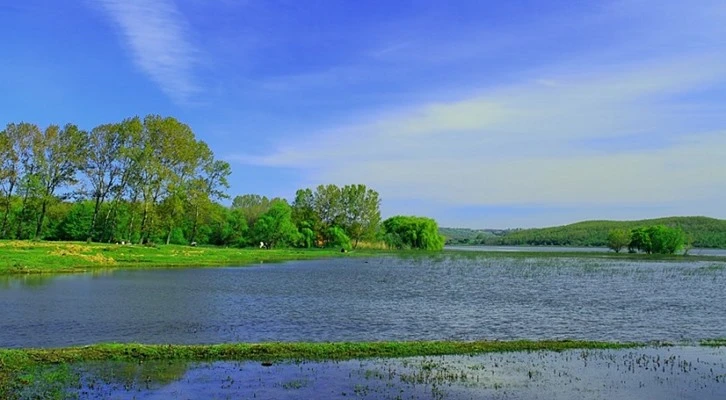 Terkos Gölü’nde, yasadışı balıkçılık denetiminde, 2 ton balık yakalandı