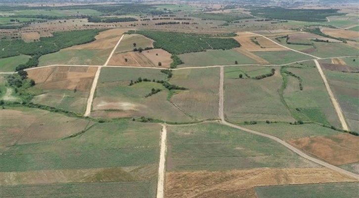 Toplulaştırma çalışmaları Edirne’de hızla devam ediyor