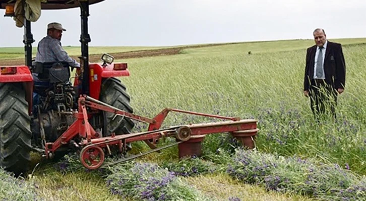'Toprak İşlemesiz Tarım' yüz güldürdü
