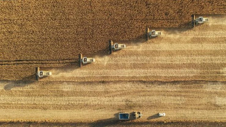 TÜİK, Nisan ayı Tarım ÜFE verilerini açıkladı