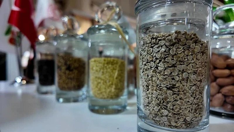 Türk tohumları dünya liderlerini solladı; 121 ülkeye ihracat