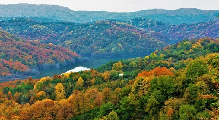 Türkiye ormanları sera gazı salımının yüzde 16’sını tutuyor