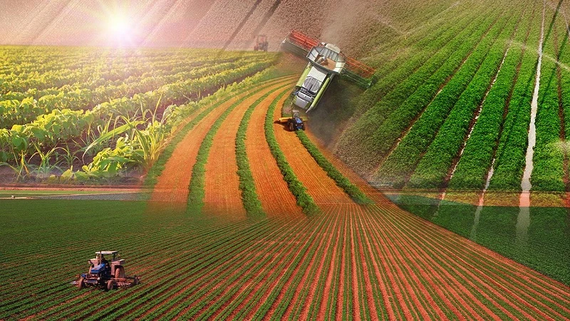 Türkiye'de Organize Tarım Bölgesi 43’e ulaştı