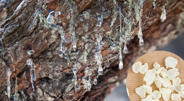 Türkiye'nin en büyük adasında tarımsal ürün çeşitliliği artırılıyor