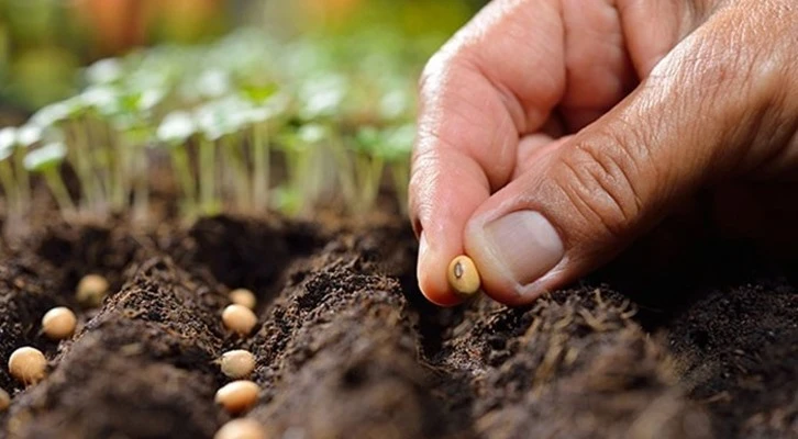 TÜRKTOB Başkanı Savaş Akcan; ''Küresel salgının getirdiği endişelere çözüm; Milli Tohum''