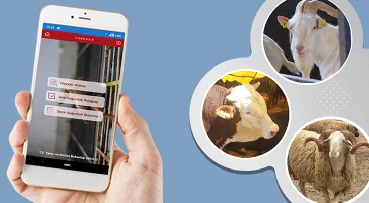 Hayvan Kayıt Sistemi TÜRKVET artık akıllı telefonlarda