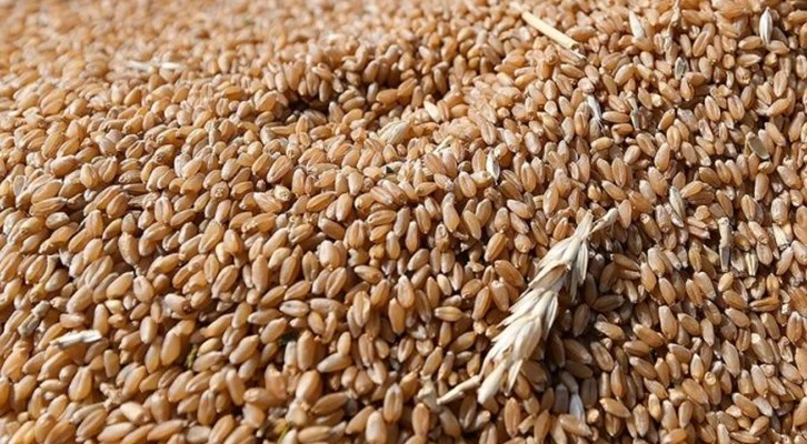 Ukrayna, Batı Afrika ülkelerinde tahıl merkezleri kuracak