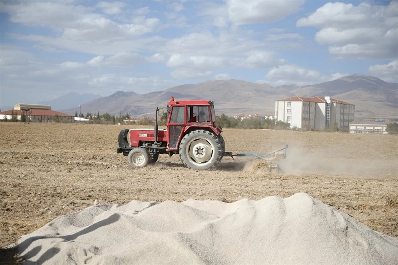 Üniversitenin tarım arazilerinde su tüketimini azaltmak amacıyla "ponza taşı" kullanılıyor