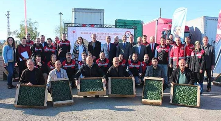 Üreticilere 625 bin brokoli fidesi dağıtıldı