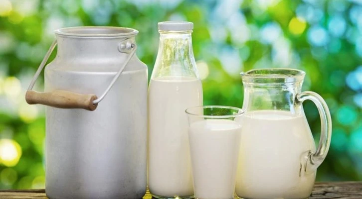 Üreticilerimize 607 milyon liralık çiğ süt desteği ödemesi bugün yapılacak 