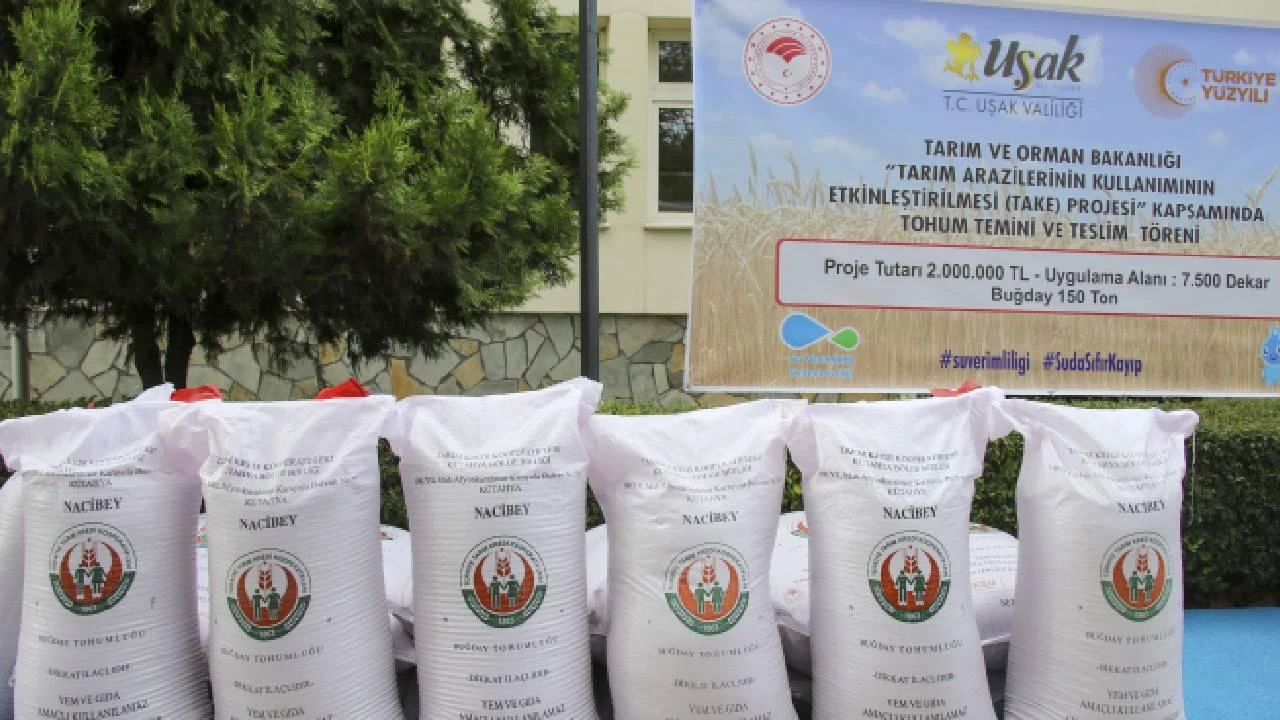 Uşak'ta üreticiye 150 ton buğday tohumu dağıtıldı