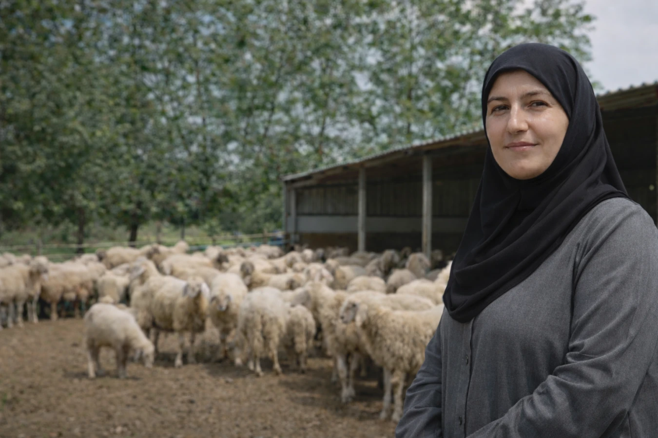 Uzman Eller Projesi ile desteklenen genç üretici küçükbaş hayvancılıkta örnek oldu