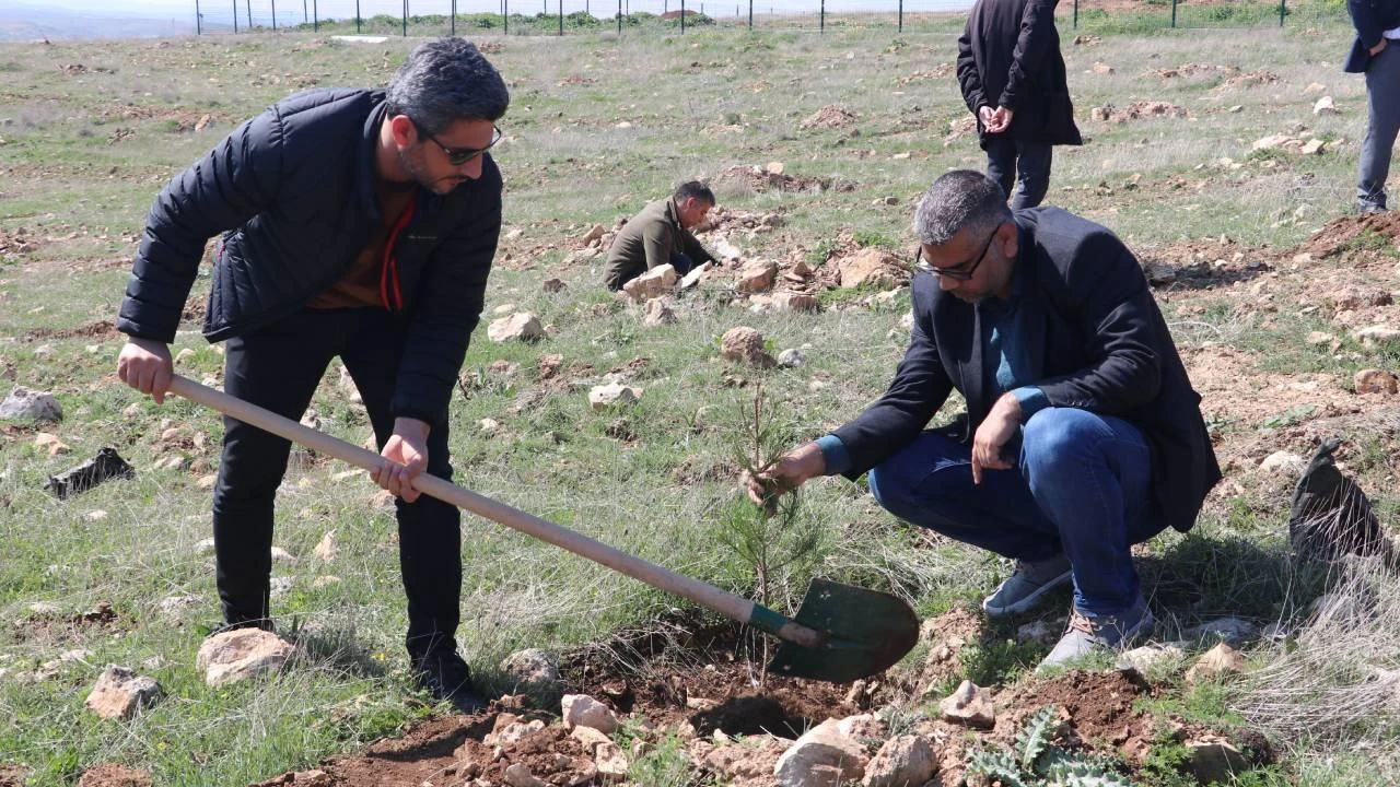 Van'da çiftçilere meyve fidanı dağıtıldı