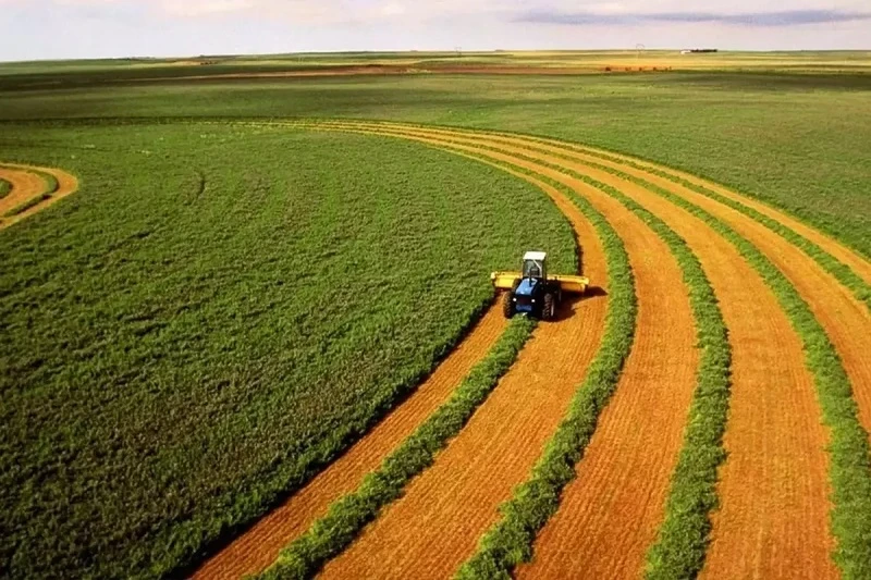 Yaklaşık 42 bin futbol sahası büyüklüğündeki tarım arazisi kiralanacak