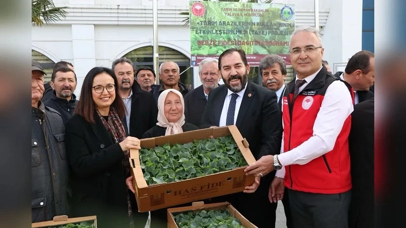 Yalova'da çiftçilere 375 bin adet salatalık ve biber fidesi dağıtıldı