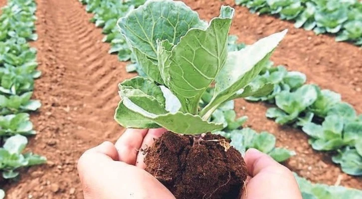 Yeni Asır'dan dev tarım zirvesi