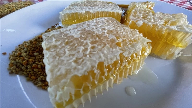 Yenice Ihlamur Balı AB'den coğrafi işaret tescili aldı