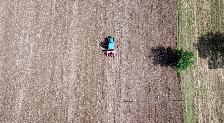 Yerli ve milli mısır tohumu 'Hacıbey' toprakla buluştu