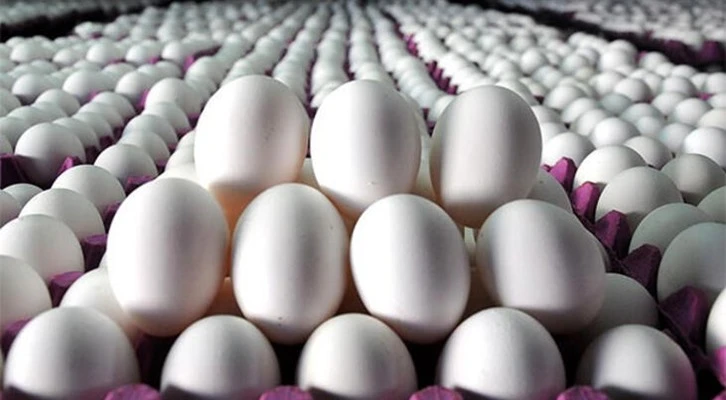 Yumurta ihracatı ülke değiştiriyor