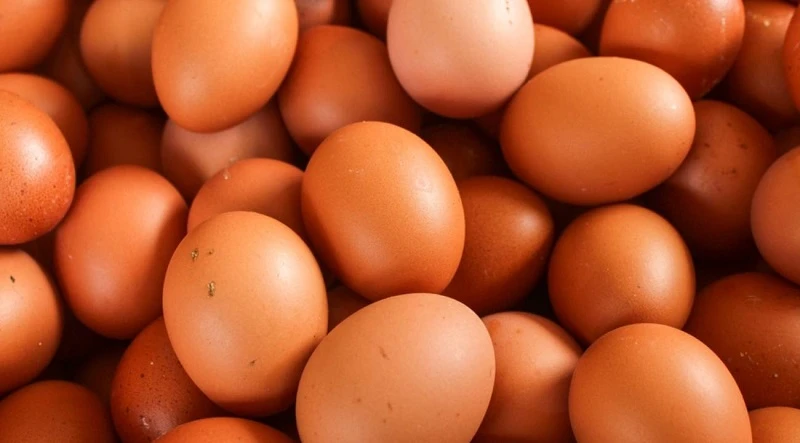 Yumurta ihracatında 1,5 dolarlık fon kaldırıldı