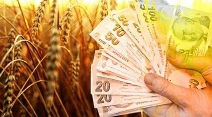 Ziraat Bankası'nın tarıma desteği 241 milyar lirayı aştı