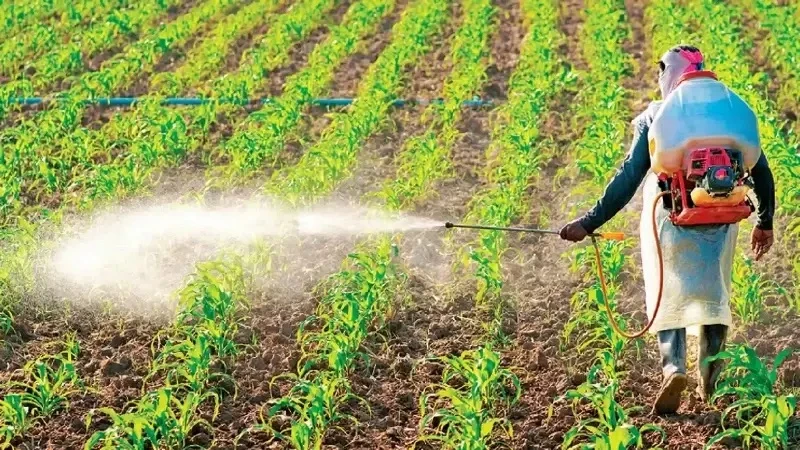 Zirai ilaçlar reçeteyle alınacak