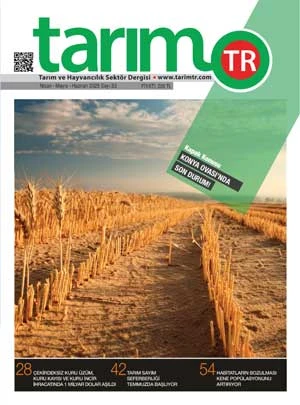 Nisan - Mayıs - Haziran 2025