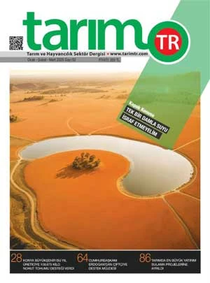 Ocak - Şubat - Mart 2025